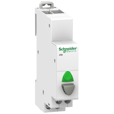 bouton-poussoir lumineux 1 NO gris + voyant vert 110...230VCA Acti9, iPB