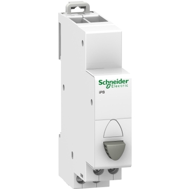 bouton-poussoir simple gris 1 NF 20A 230VCA  Acti9, iPB